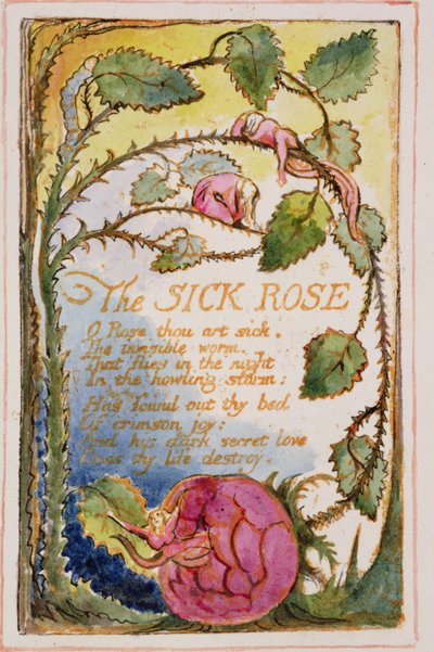 La rosa malata: tavola 39 da Songs of Innocence and of Experience (copia AA) c.1815-26 da William Blake